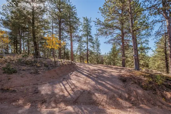 Divide, CO 80814,980 Spring Creek DR