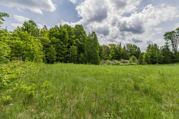 Highlands East, ON K0L 2Y0,0 Highway 118 N/A