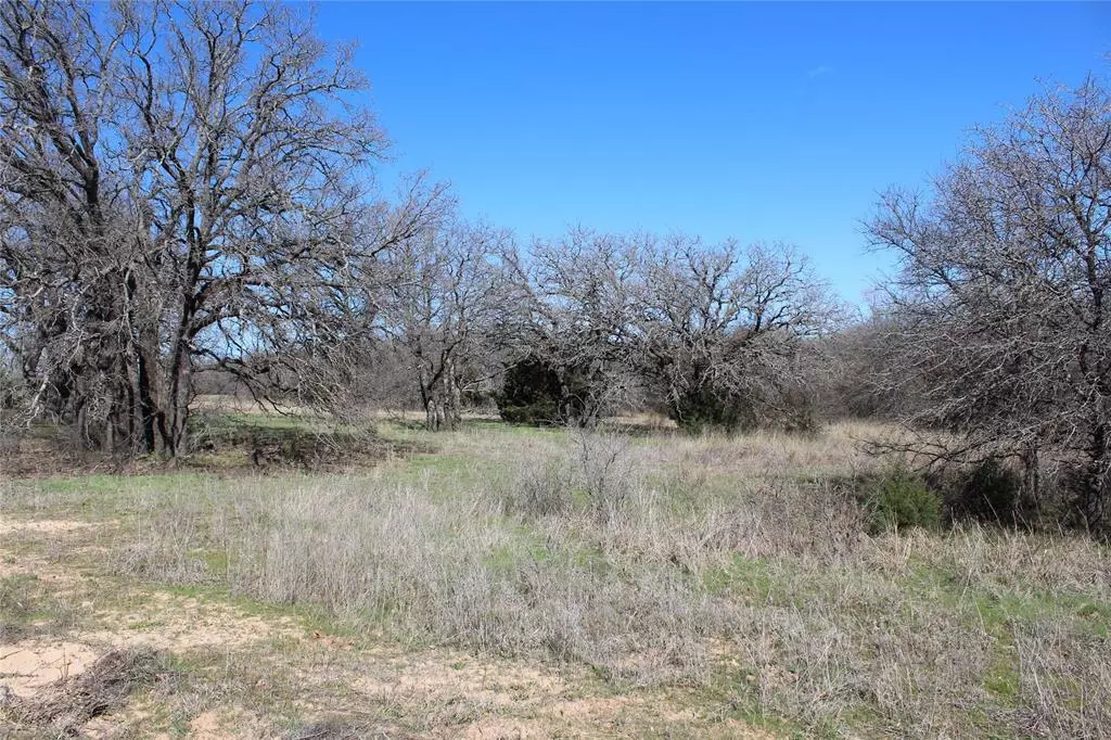 Montague, TX 76251,286 Oak Shadow Lane