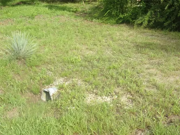 Murchison, TX 75778,187 Holly Lane