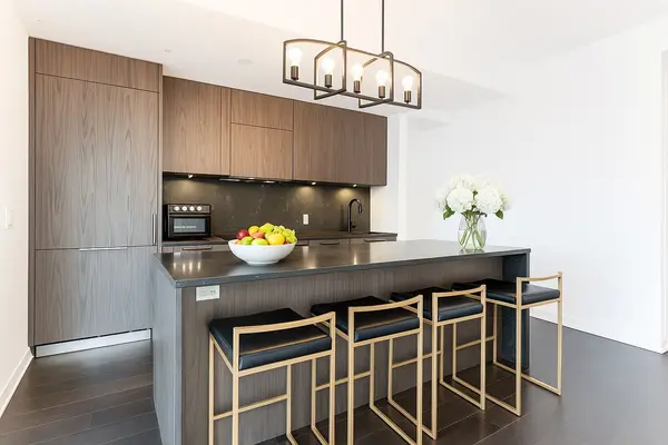 Toronto C01, ON M5V 1T4,501 Adelaide ST W #502