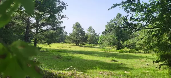 Sulphur Springs, TX 75482,TBD CR 1176