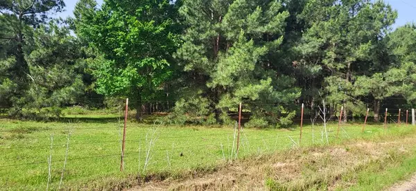 Sulphur Springs, TX 75482,TBD CR 1176