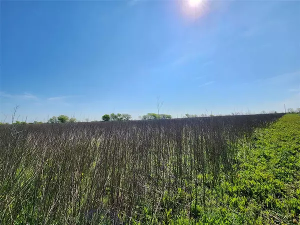 Blum, TX 76627,TBA Private Road 196