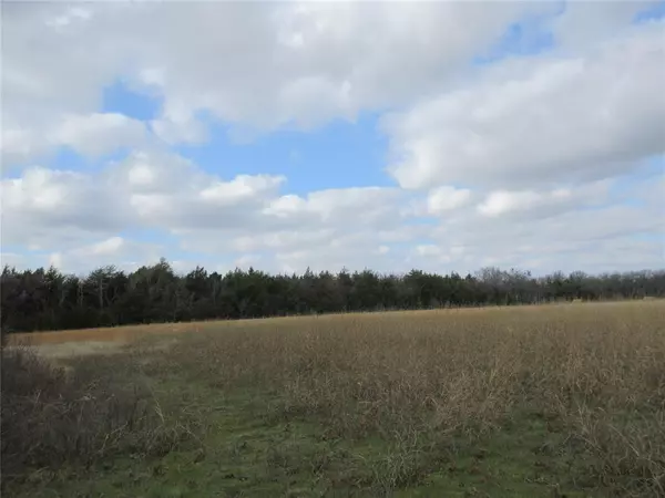 Bonham, TX 75418,TBD County Road 3040