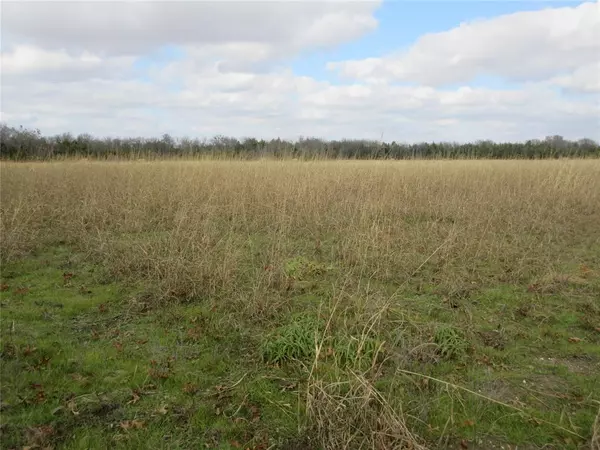 Bonham, TX 75418,TBD County Road 3040