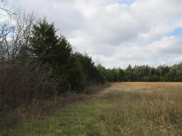 Bonham, TX 75418,TBD County Road 3040