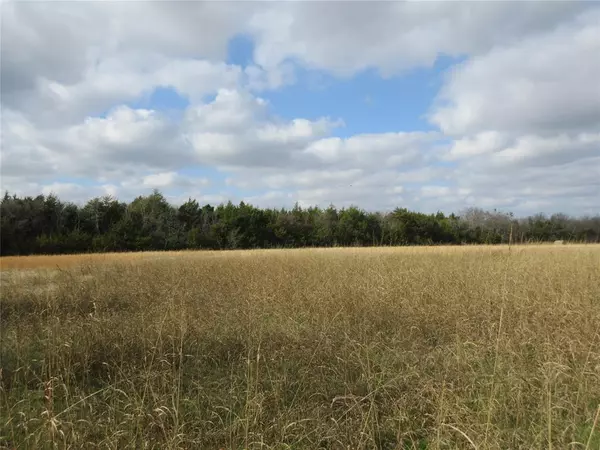 Bonham, TX 75418,TBD County Road 3040