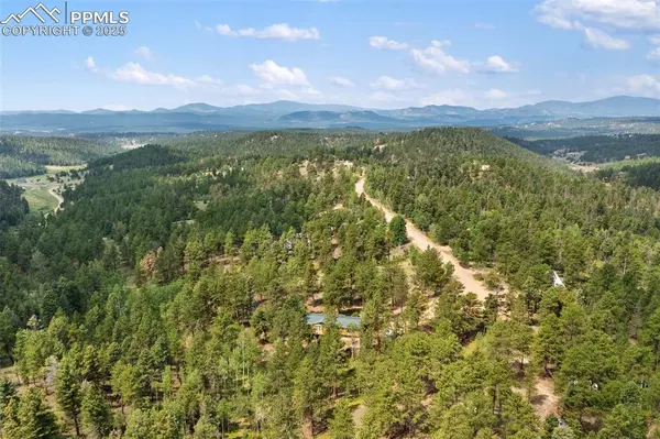 Florissant, CO 80816,534 Poncha Creek TRL