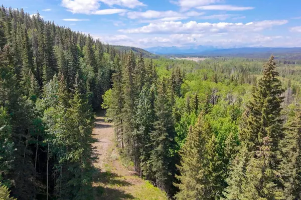 Rural Yellowhead County, AB T7V 1X4,5-24-52-4 SE