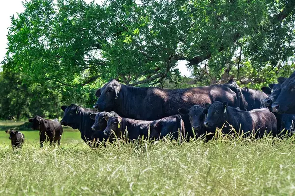 Flower Mound, TX 75022,5200 Cross Timbers Road