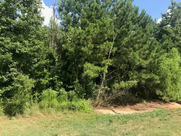 Linden, TX 75563,TBD S Hwy 59 Highway