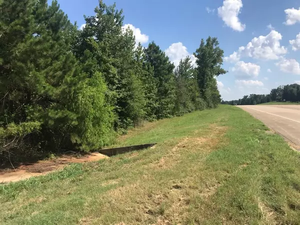 Linden, TX 75563,TBD S Hwy 59 Highway