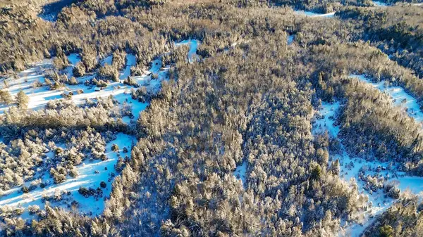 North Kawartha, ON K0L 1A0,PT LT 3 Concession 6 N/A