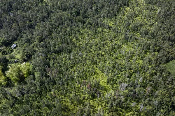 Pahoa, HI 96778,12-4235 UPPER PUNA ROAD