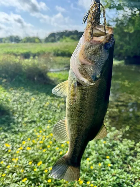 Kemp, TX 75143,9833 R And R Circle #Lot 3