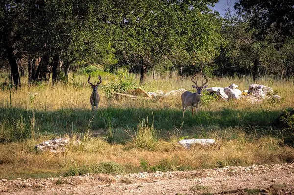 Hamilton, TX 76531,1782 FM 218