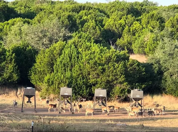 Hamilton, TX 76531,1782 FM 218