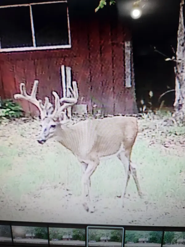 Monroe, VA 24574,3523 Beverly Town Rd