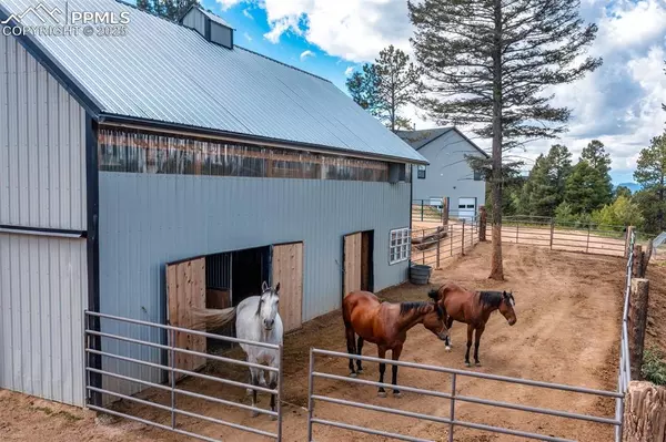 Divide, CO 80814,983 Rangeview RD