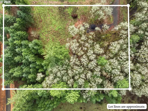 Mc Minnville, OR 97128,0 NW Berry Creek RD #Lot 1