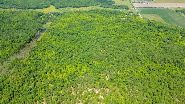 Mississippi Mills, ON K0A 2X0,0 Carbine RD