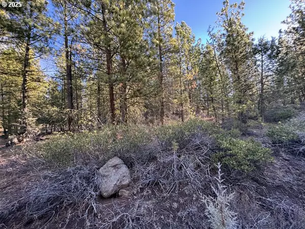 Bonanza, OR 97623,Golden Eagle DR #31