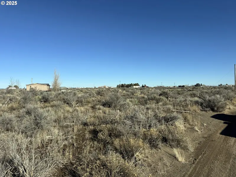 Pinion LN #4600, Christmas Valley, OR 97641