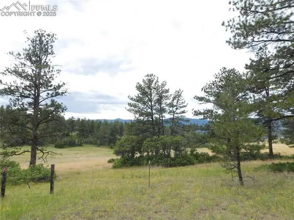 Larkspur, CO 80118,Pasque CT