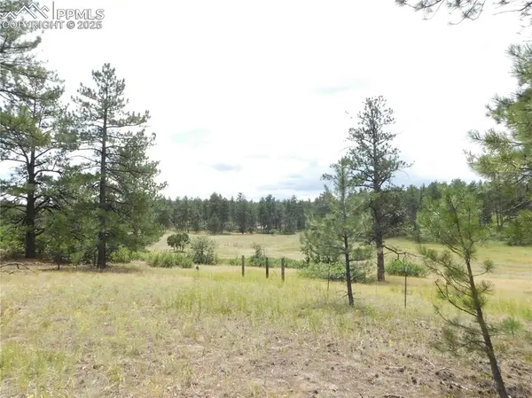 Larkspur, CO 80118,Pasque CT