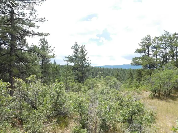 Larkspur, CO 80118,Pasque CT