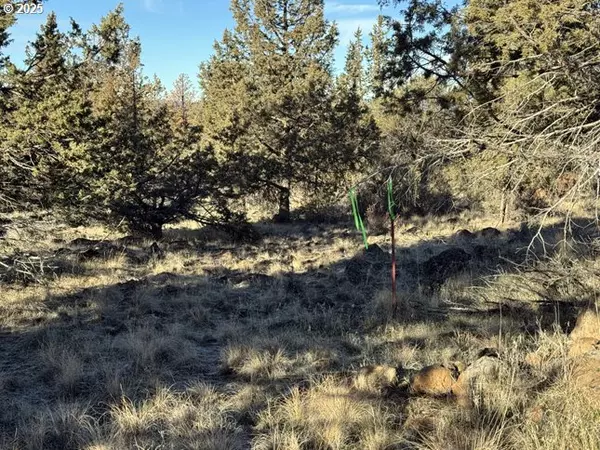 Bonanza, OR 97623,Canvasback DR #5