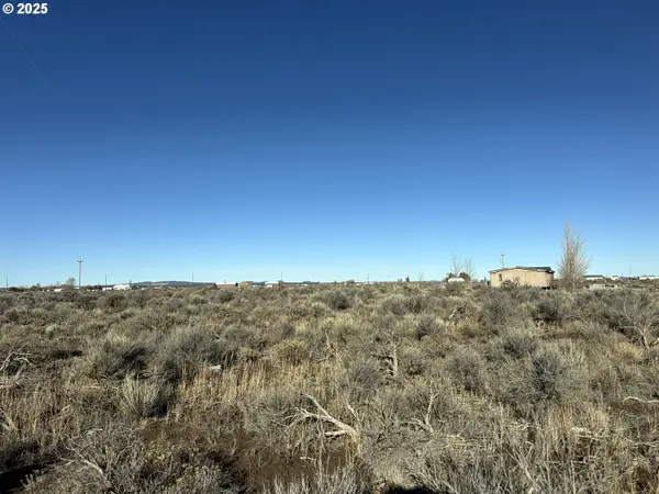Christmas Valley, OR 97641,Pinion LN #4600