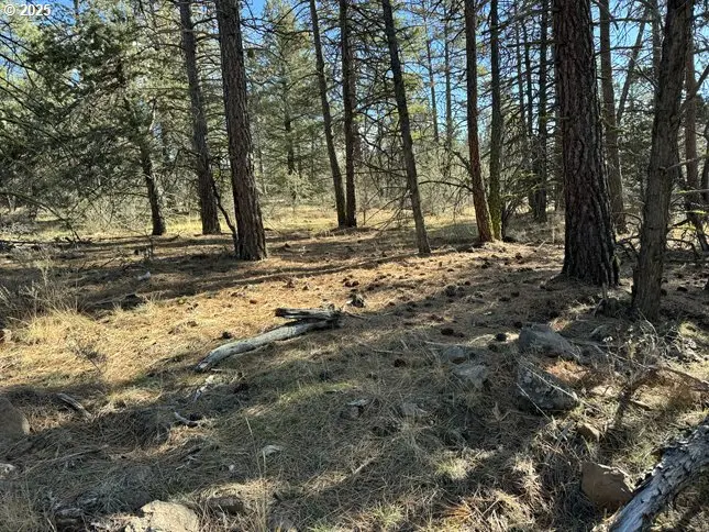 Bunting Drive #31, Bonanza, OR 97623