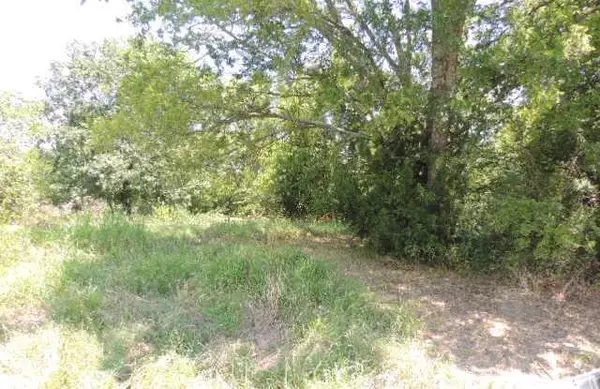 Greenville, TX 75401,TBD County Road 3303