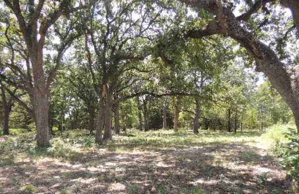 Greenville, TX 75401,TBD County Road 3303