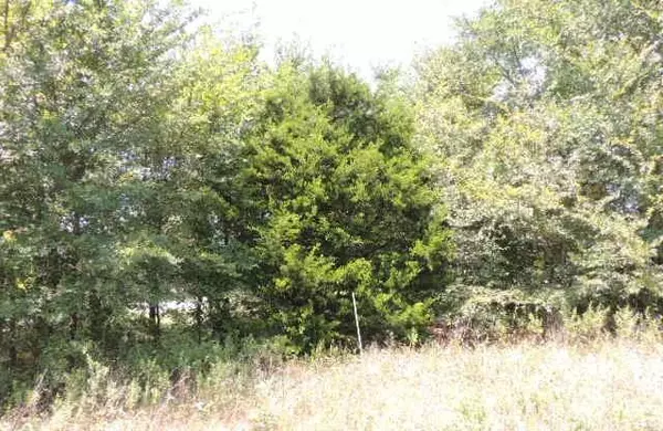 Greenville, TX 75401,TBD County Road 3303