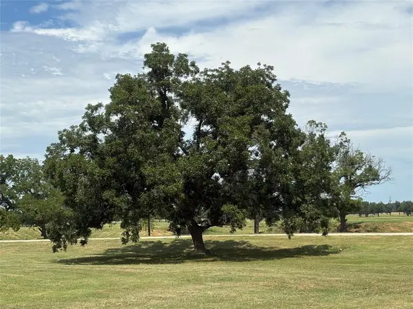 1078 River Ranch Lane, Weatherford, TX 76087