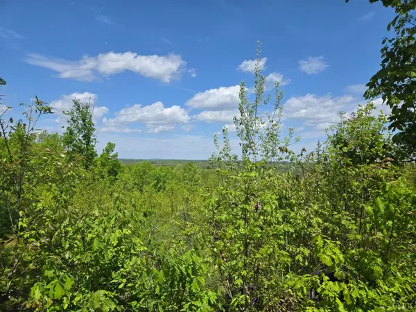 0 Leigh Mountain Rd, Green Bay, VA 23942