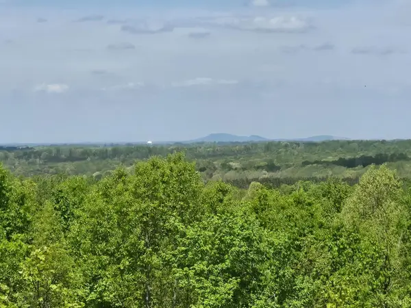 Green Bay, VA 23942,0 Leigh Mountain Rd