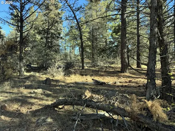 Bonanza, OR 97623,Bunting Drive #31