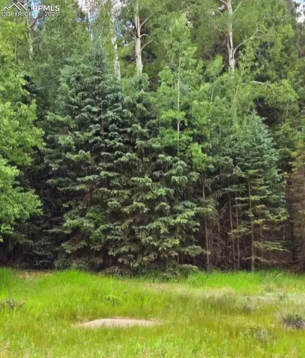 Florissant, CO 80816,662 Spring Valley LN