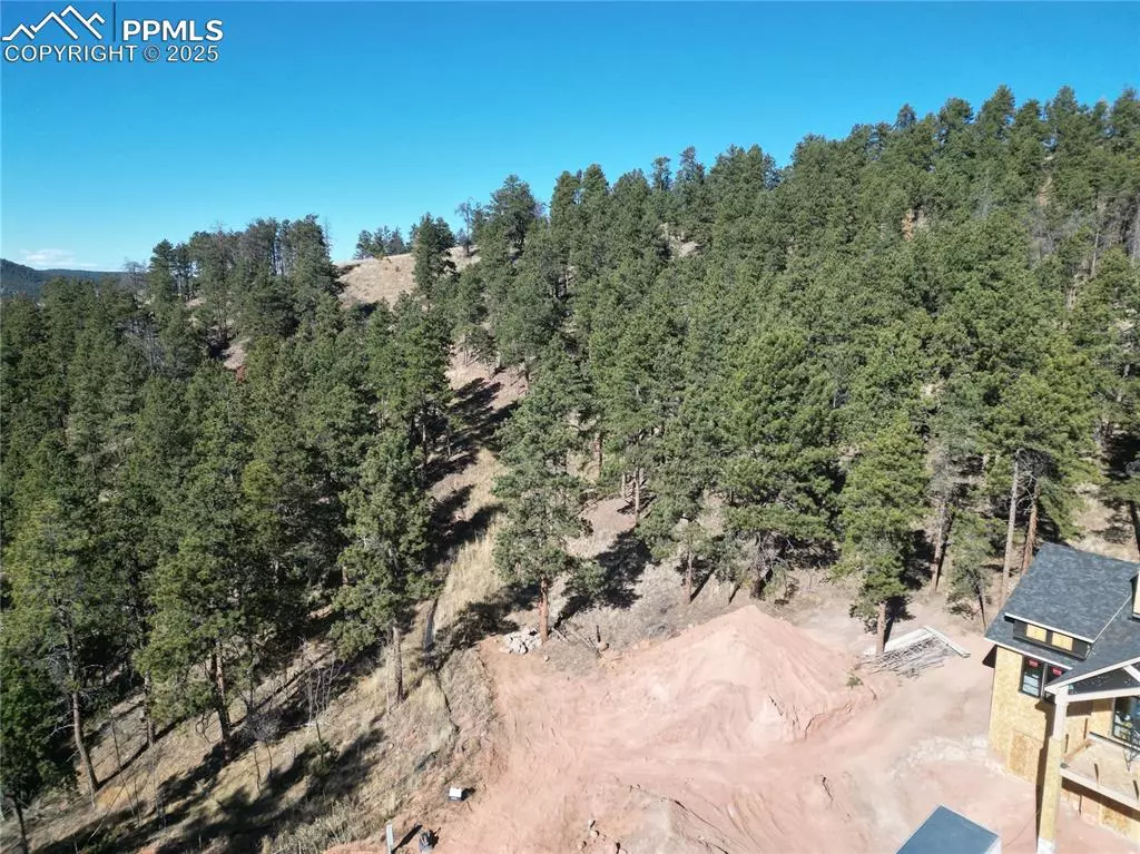 Woodland Park, CO 80863,1420 Red Haven PL