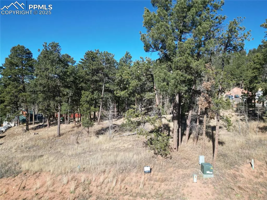 Woodland Park, CO 80863,1300 Blue Haven PL