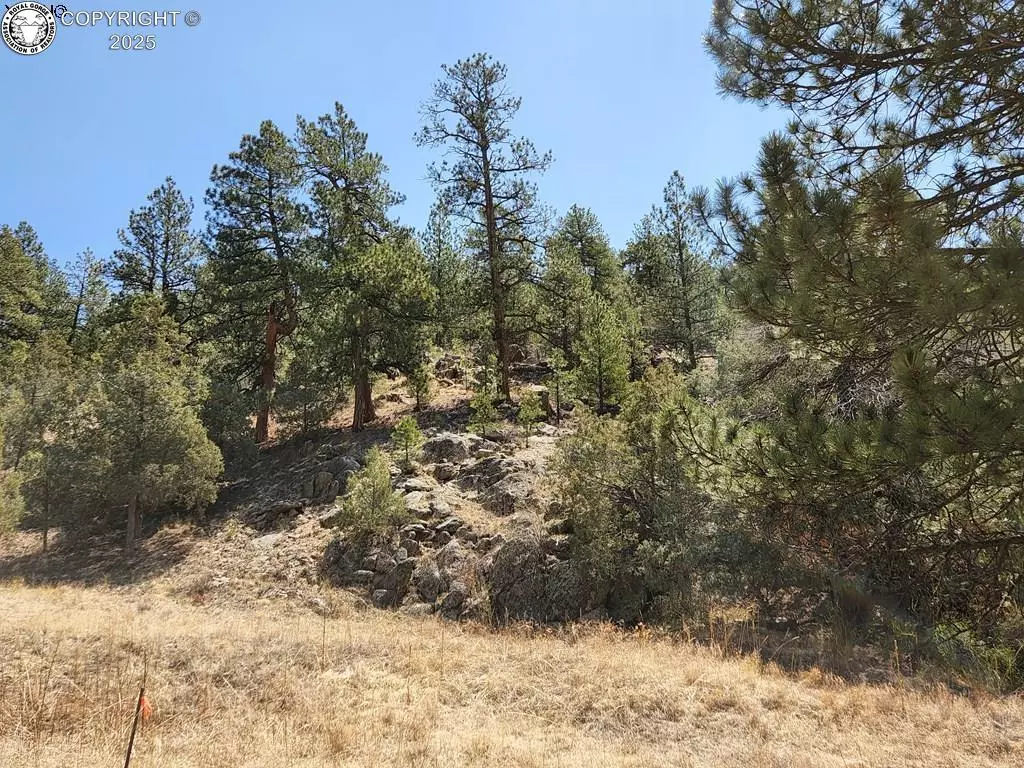 Texas Creek, CO 81223,1314 Arnold DR
