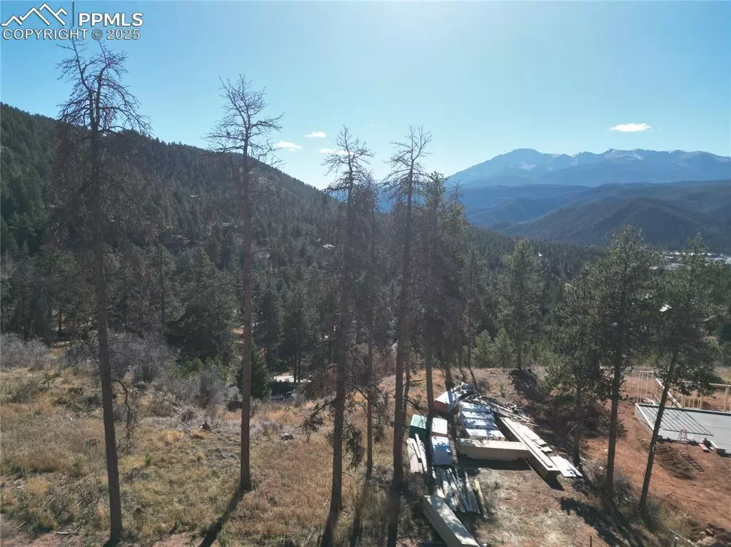 Woodland Park, CO 80863,1430 Red Haven PL