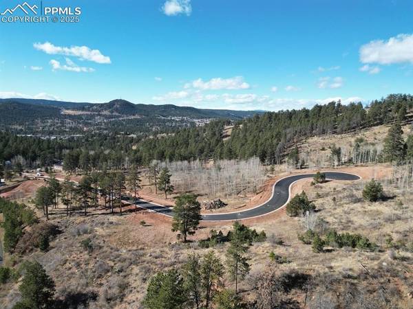 Woodland Park, CO 80863,1380 blue Haven PL