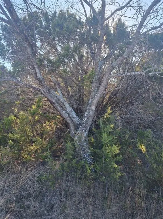 Whitney, TX 76692,23038 Prairie Drive