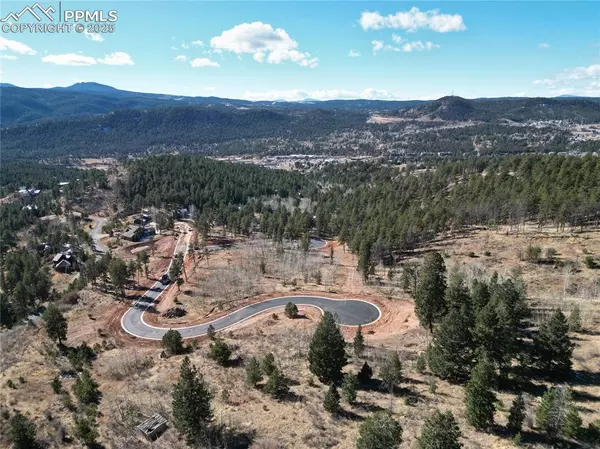 Woodland Park, CO 80863,1410 Red Haven PL