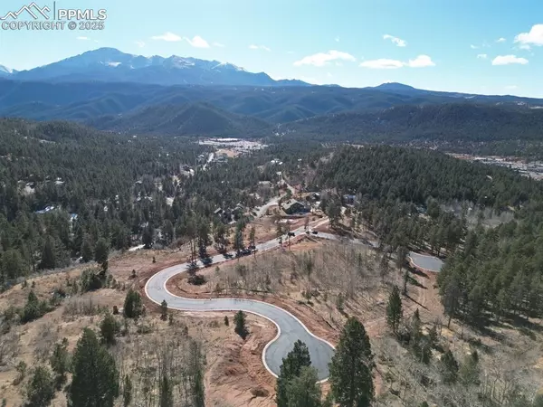 Woodland Park, CO 80863,1365 Blue Haven PL